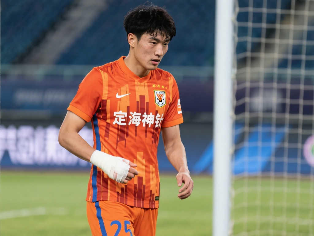 些成功案例 些成功案例