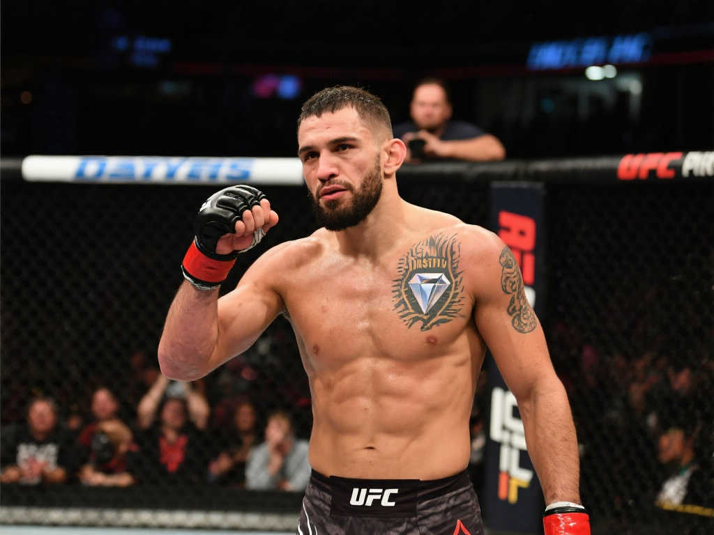 入了新的活 入了新的活